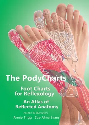 Wykresy stóp PodyCharts dla refleksologii: Atlas anatomii odbitej - The PodyCharts Foot Charts for Reflexology: An atlas of reflected anatomy