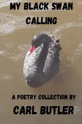 Mój czarny łabędź - My Black Swan Calling