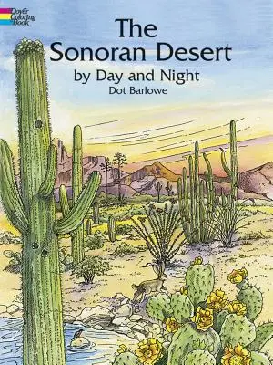 Kolorowanka Pustynia Sonora dniem i nocą - The Sonoran Desert by Day and Night Coloring Book