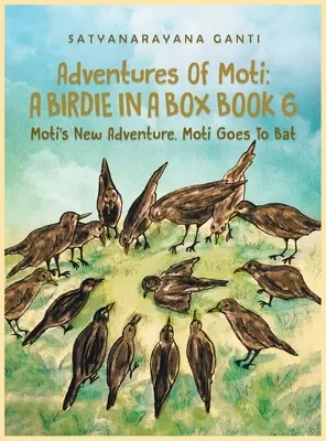 Adventures Of Moti A Birdie In A Box Book 6: Moti's New Adventure. Moti Goes To Bat