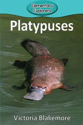 Platypusy - Platypuses