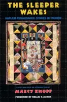 The Sleeper Wakes: Harlem Renaissance Stories by Women