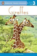 Żyrafy - Giraffes