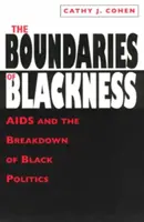 Granice czarności: AIDS i rozpad czarnej polityki - The Boundaries of Blackness: AIDS and the Breakdown of Black Politics