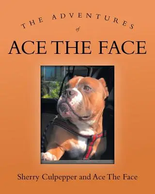 Przygody Asa Twarzy - The Adventures of Ace The Face