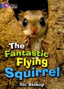 Fantastyczna latająca wiewiórka - The Fantastic Flying Squirrel