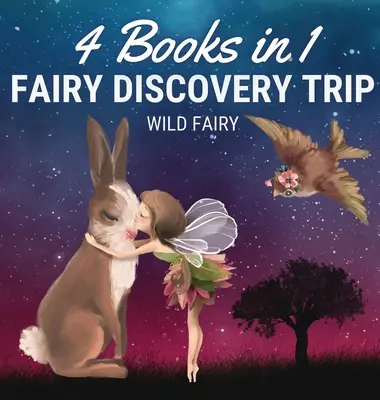 Wróżkowa podróż odkrywcza: 4 książki w 1 - Fairy Discovery Trip: 4 Books in 1