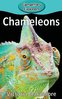 Kameleony - Chameleons