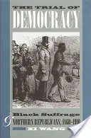 Próba demokracji: czarne prawa wyborcze i północni republikanie, 1860-1910 - The Trial of Democracy: Black Suffrage and Northern Republicans, 1860-1910
