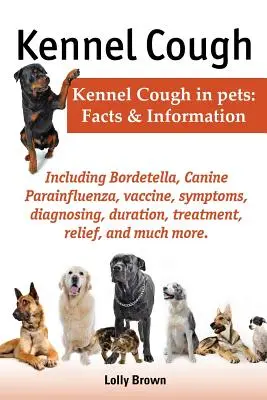 Kaszel kenelowy. W tym objawy, diagnozowanie, czas trwania, leczenie, ulga, Bordetella, Parainfluenza psów, szczepionka i wiele więcej. Kaszel kenelowy u pudli - Kennel Cough. Including Symptoms, Diagnosing, Duration, Treatment, Relief, Bordetella, Canine Parainfluenza, Vaccine, and Much More. Kennel Cough in P