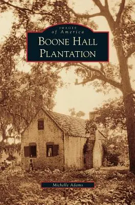 Plantacja Boone Hall - Boone Hall Plantation