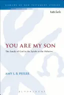 Ty jesteś moim synem - You Are My Son