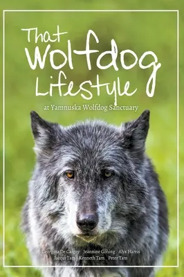 Wilczy styl życia: w Yamnuska Wolfdog Sanctuary - That Wolfdog Lifestyle: at Yamnuska Wolfdog Sanctuary