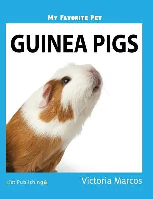 Moje ulubione zwierzę domowe: Świnki morskie - My Favorite Pet: Guinea Pigs