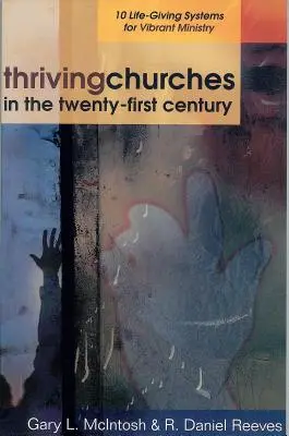 Dobrze prosperujące kościoły w XXI wieku: 10 życiodajnych systemów dla tętniącej życiem służby - Thriving Churches in the Twenty-First Century: 10 Life-Giving Systems for Vibrant Ministry