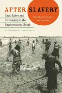 Po niewolnictwie: Rasa, praca i obywatelstwo na odbudowującym się Południu - After Slavery: Race, Labor, and Citizenship in the Reconstruction South