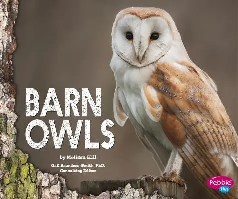 Sowy stodolne - Barn Owls
