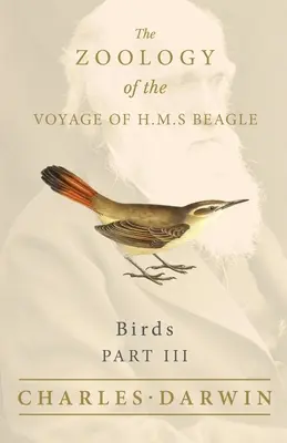 Ptaki - Część III - Zoologia podróży H.M.S Beagle - Birds - Part III - The Zoology of the Voyage of H.M.S Beagle