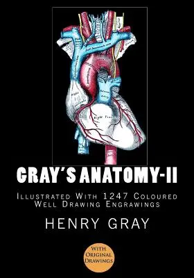 Anatomia Graya: [Ilustrowana 1247 kolorowymi rysunkami] - Gray's Anatomy: [Illustrated With 1247 Coloured Well Drawing Engrawings]