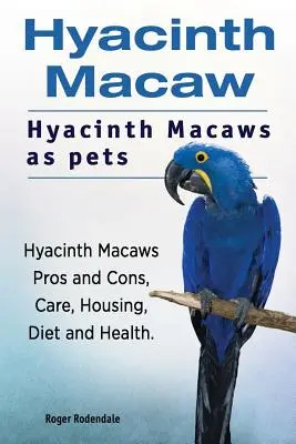 Makolągwa hiacyntowa. Makolągwy hiacyntowe jako zwierzęta domowe. Zalety i wady, pielęgnacja, trzymanie, dieta i zdrowie. - Hyacinth Macaw. Hyacinth Macaws as pets. Hyacinth Macaws Pros and Cons, Care, Housing, Diet and Health.