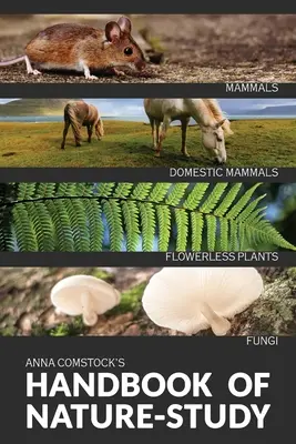 The Handbook Of Nature Study in Color - Ssaki i rośliny bezkwiatowe - The Handbook Of Nature Study in Color - Mammals and Flowerless Plants