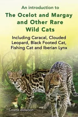 Wprowadzenie do Ocelota i Margay oraz innych rzadkich dzikich kotów, w tym karakala, lamparta mętnego, kota czarnonogiego, kota wędkarskiego i rysia iberyjskiego - An introduction to The Ocelot and Margay and Other Rare Wild Cats Including Caracal, Clouded Leopard, Black Footed Cat, Fishing Cat and Iberian Lynx