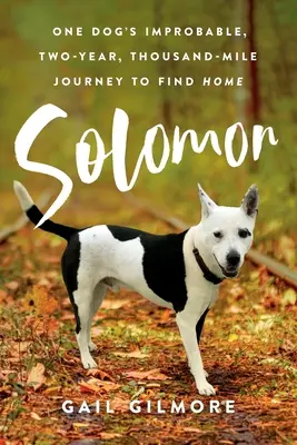 Solomon: Niewiarygodna, dwuletnia, tysiącmilowa podróż jednego psa w poszukiwaniu domu - Solomon: One Dog's Improbable, Two-year, Thousand-mile Journey to Find Home