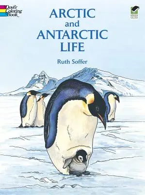 Kolorowanka Życie Arktyki i Antarktydy - Arctic and Antarctic Life Coloring Book