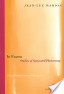 W nadmiarze: Studia nad zjawiskami nasyconymi - In Excess: Studies of Saturated Phenomena