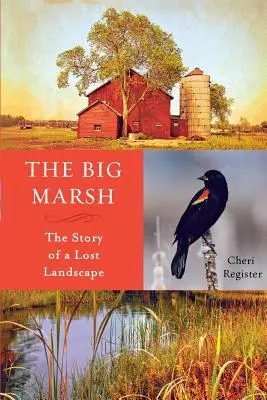 The Big Marsh: Historia zaginionego krajobrazu - The Big Marsh: The Story of a Lost Landscape
