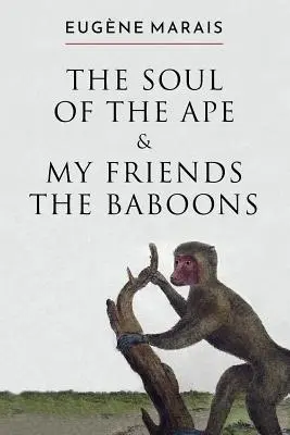 Dusza małpy i moi przyjaciele pawiany - The Soul of the Ape & My Friends the Baboons
