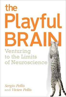 Playful Brain: Przekraczając granice neuronauki - Playful Brain: Venturing to the Limits of Neuroscience