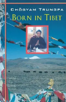 Urodzony w Tybecie - Born In Tibet