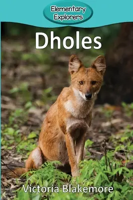 Dziuple - Dholes