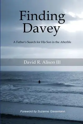 Finding Davey: Ojciec szuka swojego syna w zaświatach - Finding Davey: A father's search for his son in the afterlife