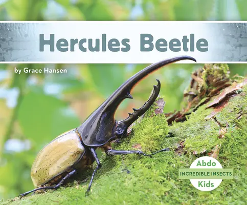 Chrząszcz Herkules - Hercules Beetle