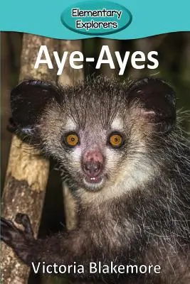 Kojoty - Aye-Ayes