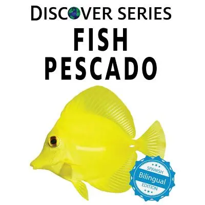 Ryby / Pescado - Fish / Pescado