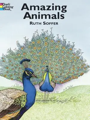 Kolorowanka Niesamowite zwierzęta - Amazing Animals Coloring Book