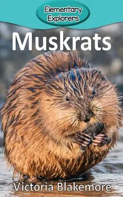 Piżmaki - Muskrats