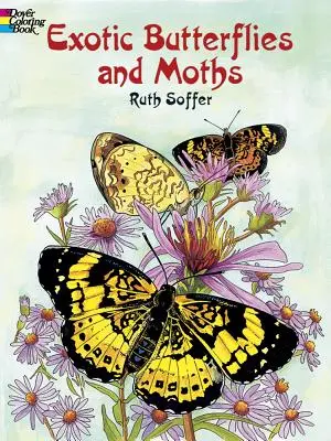 Kolorowanka z egzotycznymi motylami i ćmami - Exotic Butterflies and Moths Coloring Book