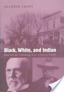 Czarny, biały i Indianin: Rasa i tworzenie amerykańskiej rodziny - Black, White, and Indian: Race and the Unmaking of an American Family