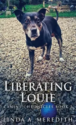 Liberating Louie: Droga do Rutland - Liberating Louie: The Road To Rutland