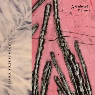 A Gathered Distance: Wiersze - A Gathered Distance: Poems