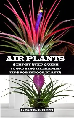 Roślina powietrzna: Przewodnik krok po kroku po uprawie Tillandsii + Porady dla roślin domowych - Air Plant: Step by Step Guide to Growing Tillandsia + Tips for Indoor Plants