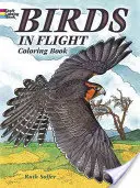 Kolorowanka z ptakami w locie - Birds in Flight Coloring Book