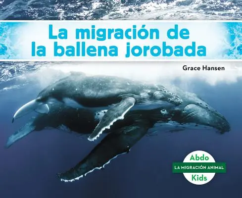 La Migracin de la Ballena Jorobada (Migracja wielorybów garbatych) (Wersja hiszpańska) - La Migracin de la Ballena Jorobada (Humpback Whale Migration) (Spanish Version)