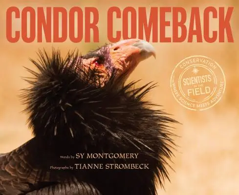 Powrót kondora - Condor Comeback