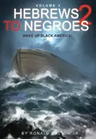 Hebrajczycy wśród Murzynów 2 Tom 3: Przebudzenie Czarnej Ameryki - Hebrews to Negroes 2 Volume 3: Wake Up Black America