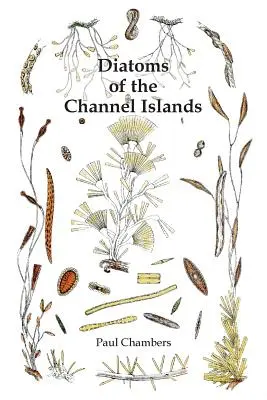 Okrzemki z Wysp Normandzkich - Diatoms of the Channel Islands